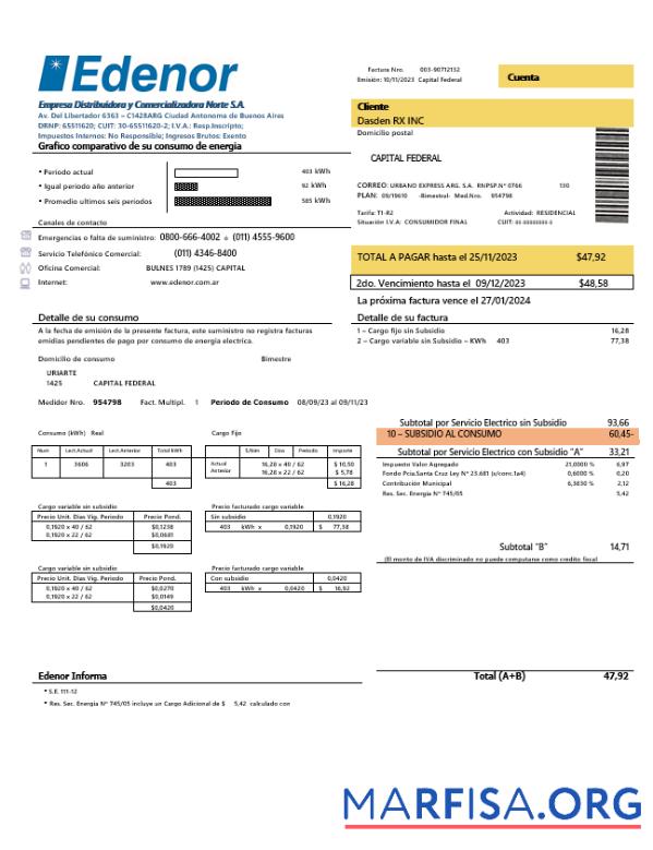 Blank Argentina Edenor easy to fill business utility bill template in Word and PDF format